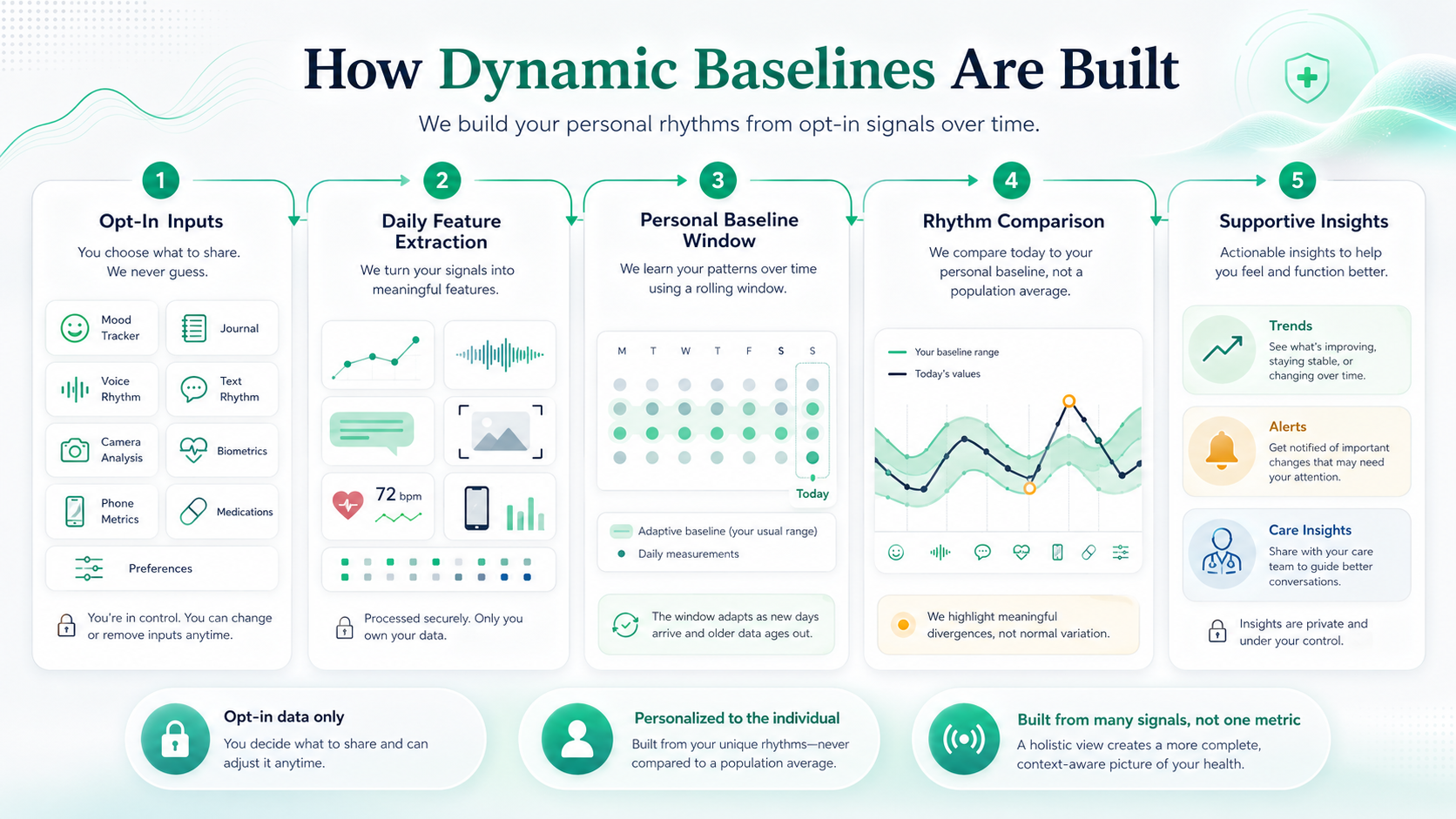 Infographic explaining how dynamic baselines are built from opt-in inputs, feature extraction, baseline windows, rhythm comparison, and supportive insights.