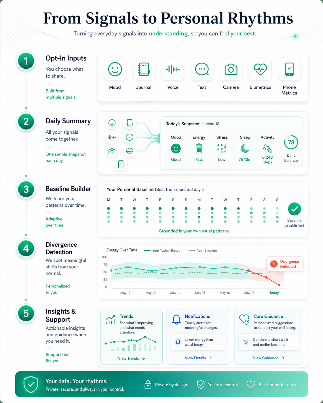 Vertical infographic explaining the flow from opt-in signals to daily summaries, baseline building, divergence detection, and insights and support.